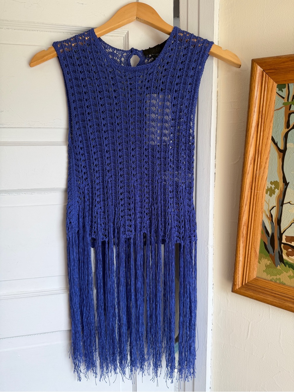 NWT Zara Crochet Fringe Sleeveless Top in Vivid Electric Periwinkle Blue Small - Picture 3 of 12
